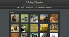 Desktop Screenshot of despines.com